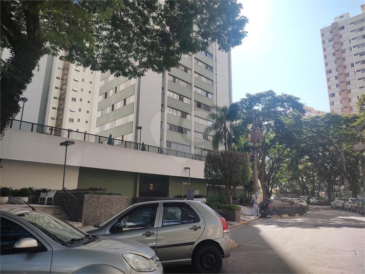 Foto REO1097445
