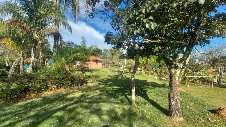 Foto REO1097448