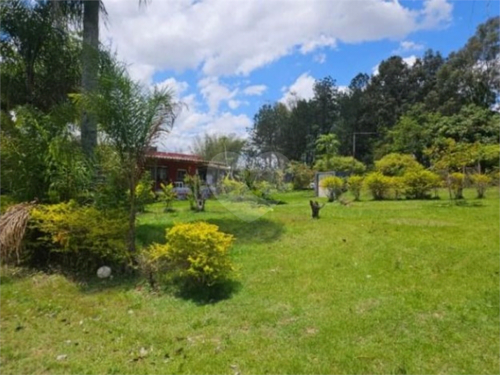 Foto REO1097448