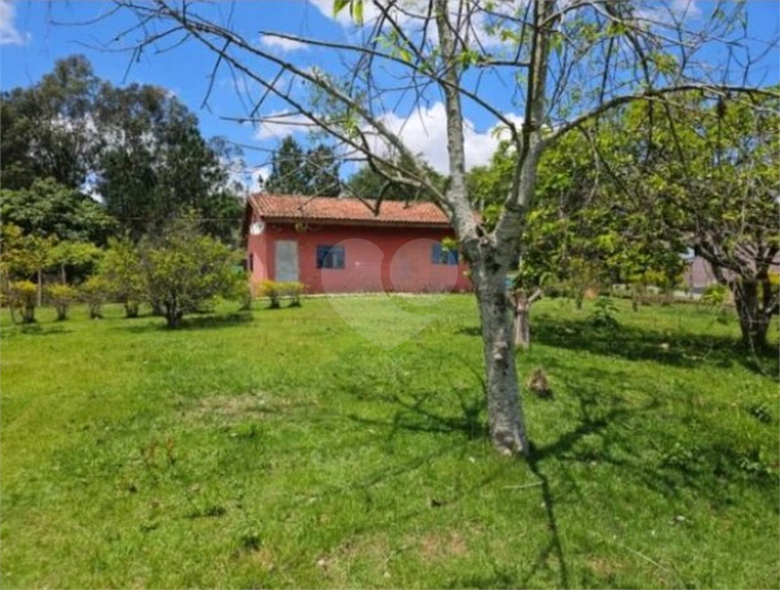 Foto REO1097448