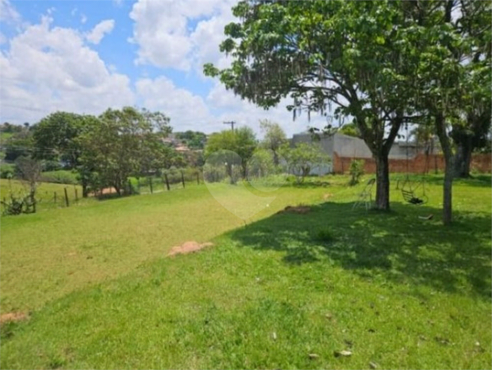 Foto REO1097448