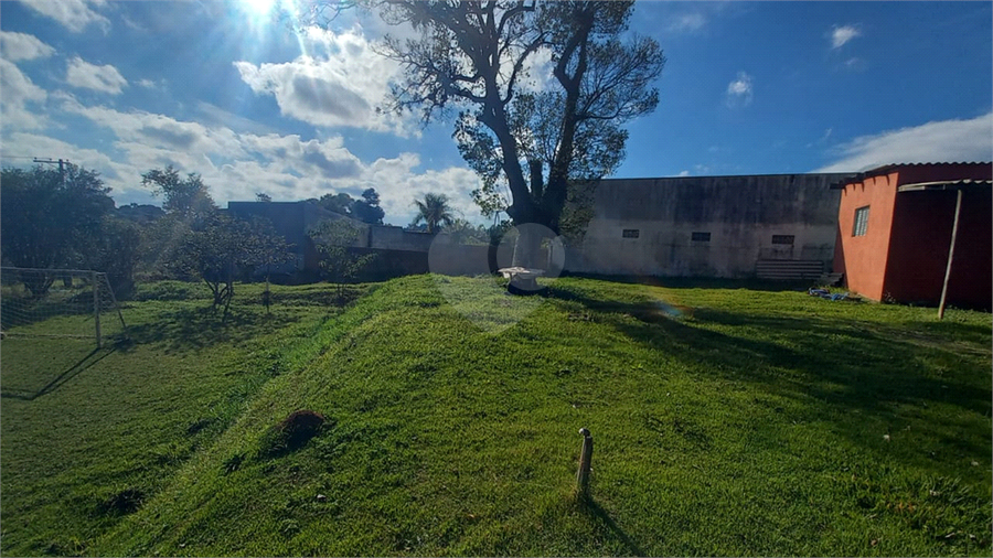 Foto REO1097448