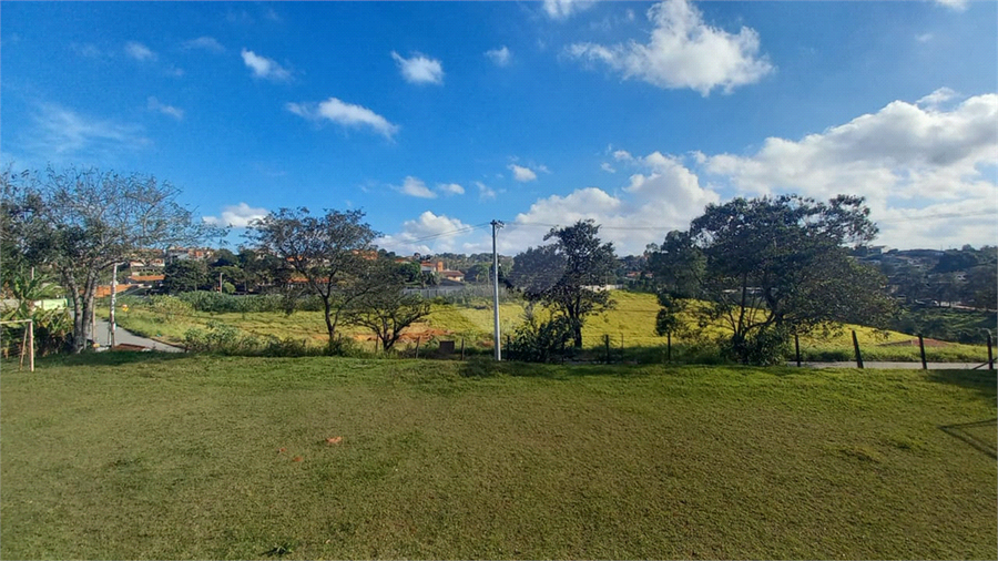 Foto REO1097448