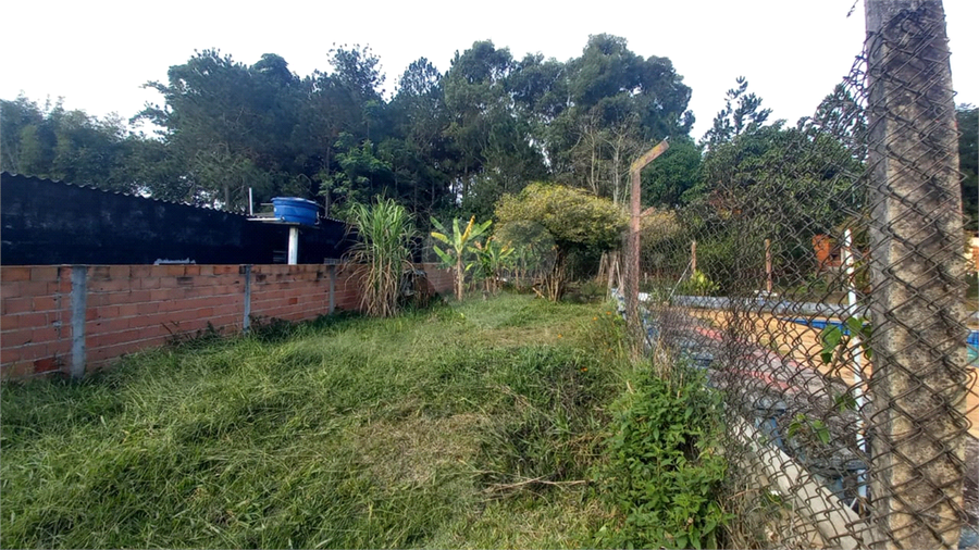 Foto REO1097448