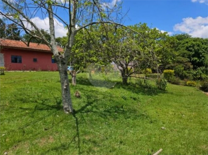 Foto REO1097448