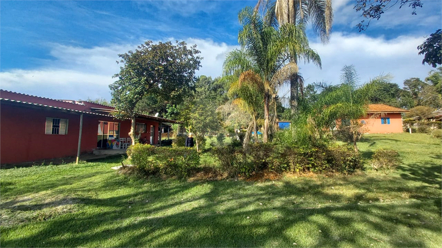 Foto REO1097448