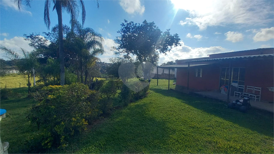 Foto REO1097448