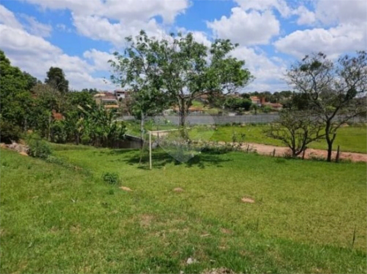 Foto REO1097448