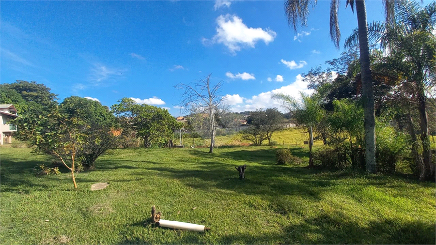 Foto REO1097448