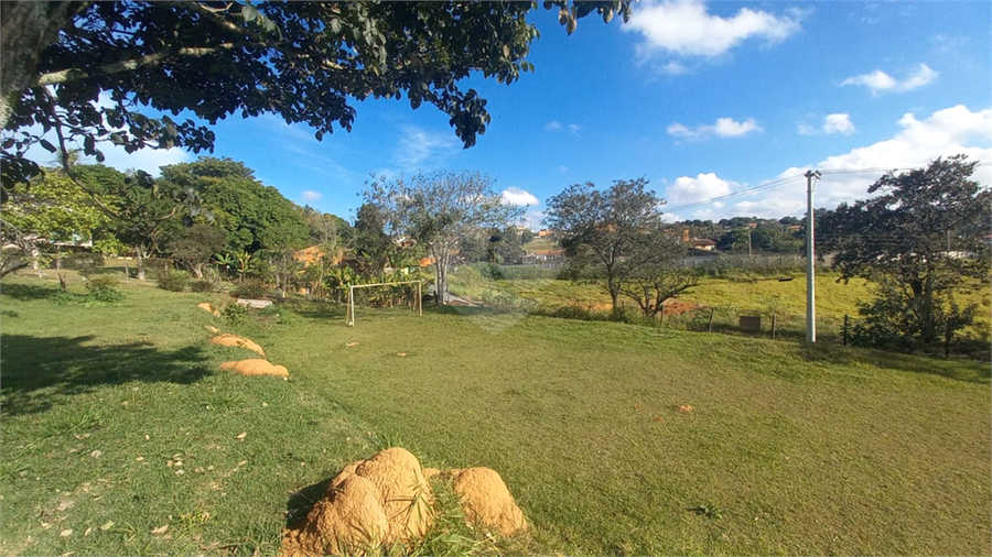 Foto REO1097448
