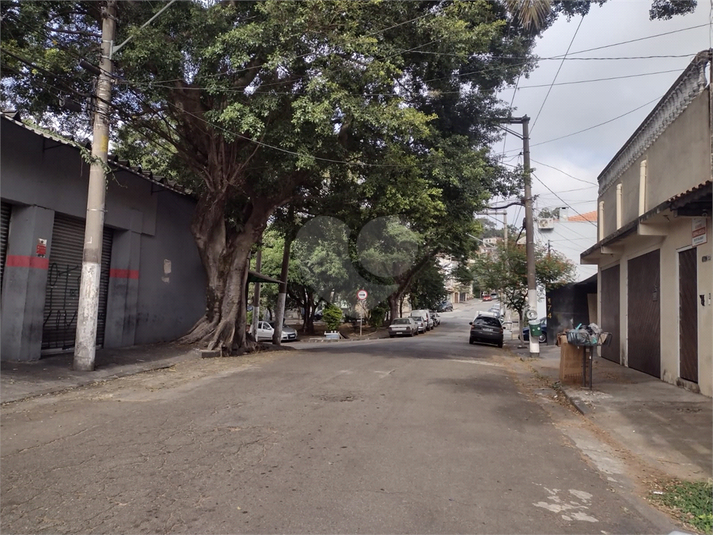 Foto REO1097450
