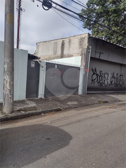 Foto REO1097450