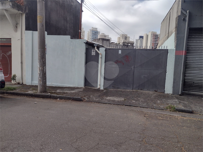 Foto REO1097450