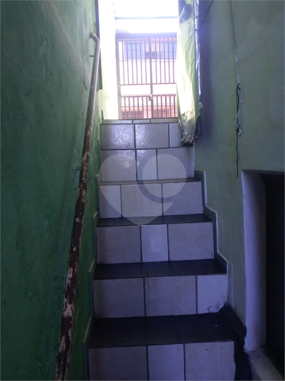 Foto REO1097456