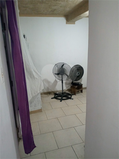 Foto REO1097456