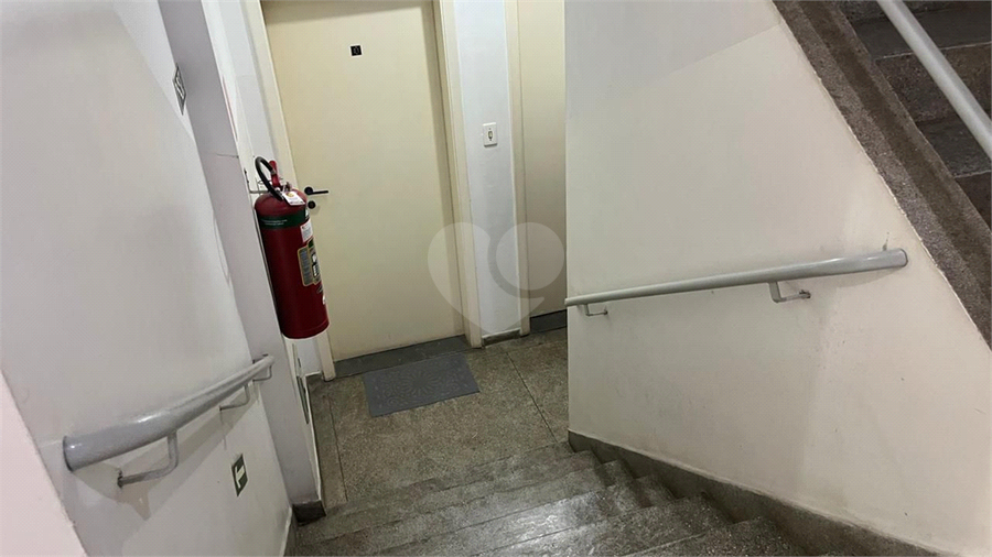 Foto REO1097462
