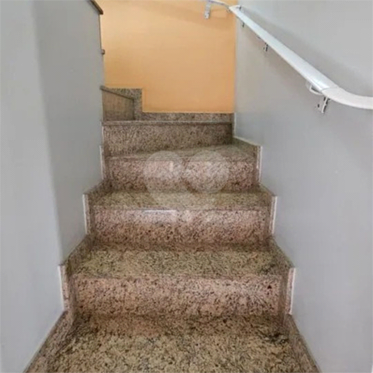 Foto REO1097464