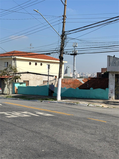 Foto REO1097466