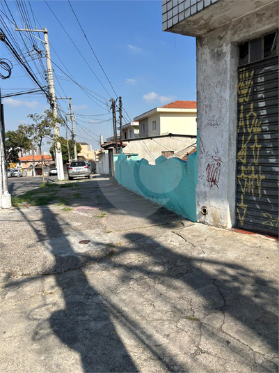 Foto REO1097466