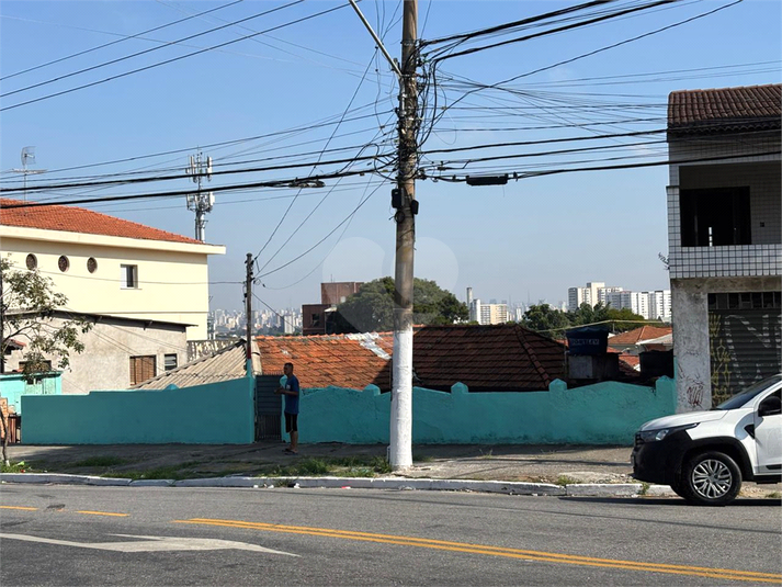 Foto REO1097466