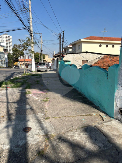 Foto REO1097466