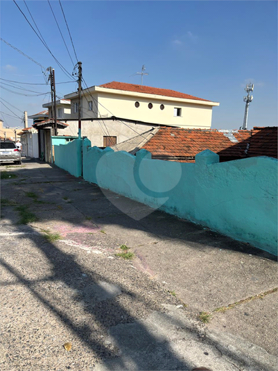 Foto REO1097466