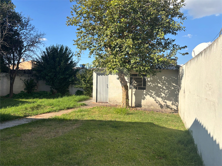 Foto REO1097468