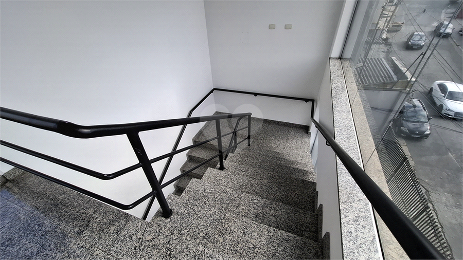 Foto REO1097474