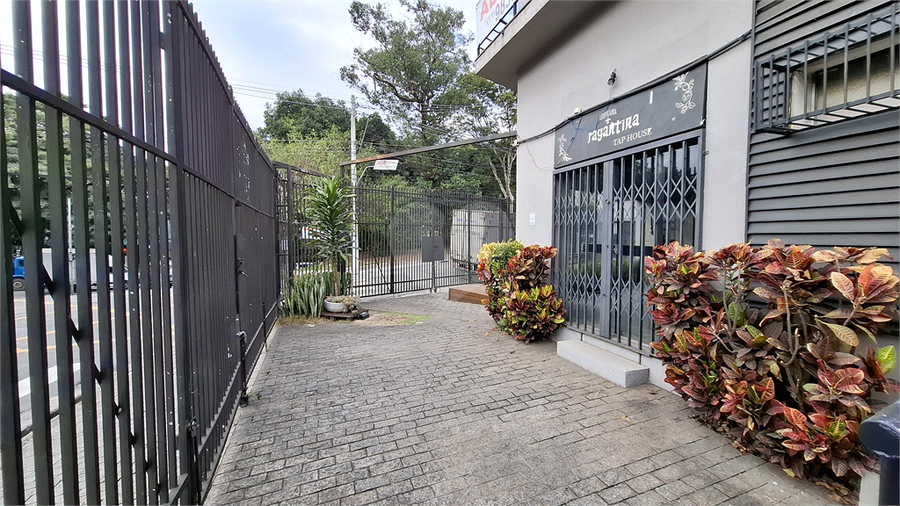 Foto REO1097476