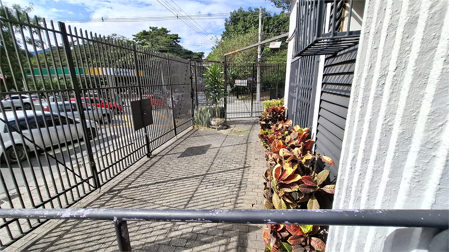 Foto REO1097476