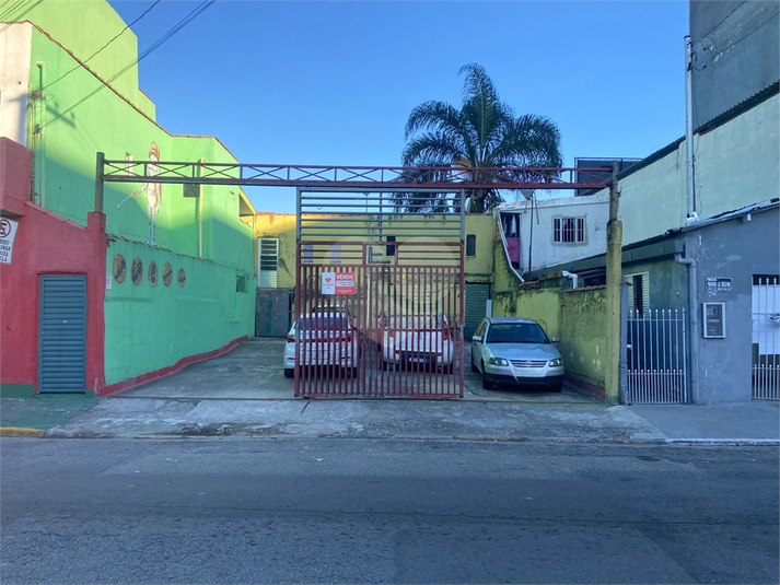 Foto REO1097484
