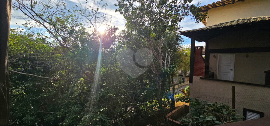 Foto REO1097485
