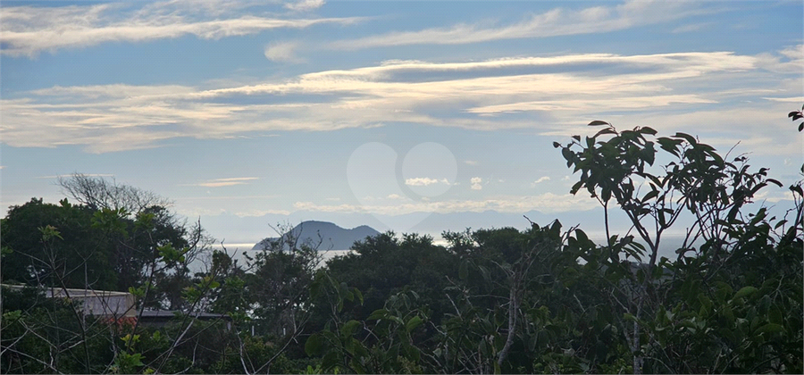 Foto REO1097485