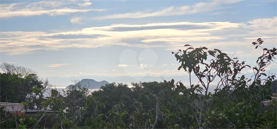 Foto REO1097485
