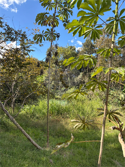 Foto REO1097497