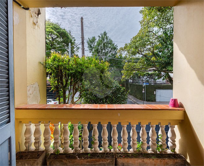 Foto REO1097499