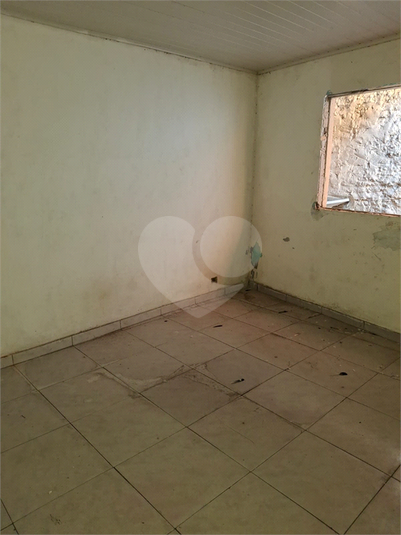 Foto REO1097501