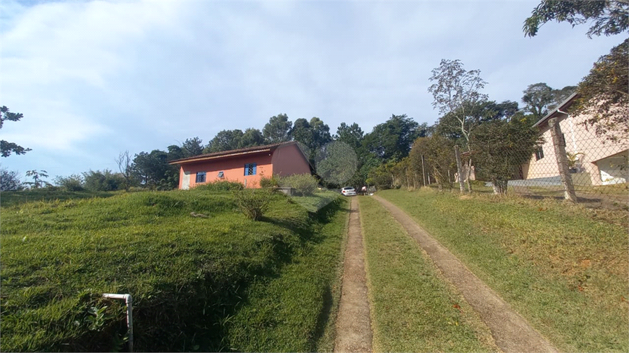 Foto REO1097506