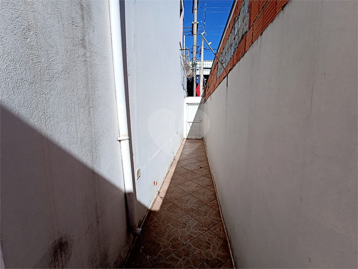 Foto REO1097512