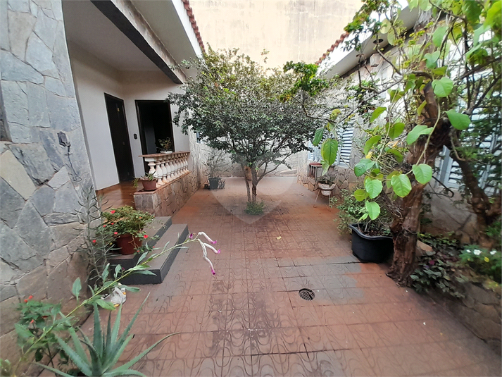 Foto REO1097519