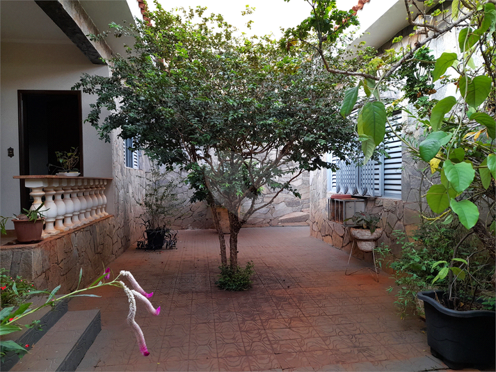 Foto REO1097519