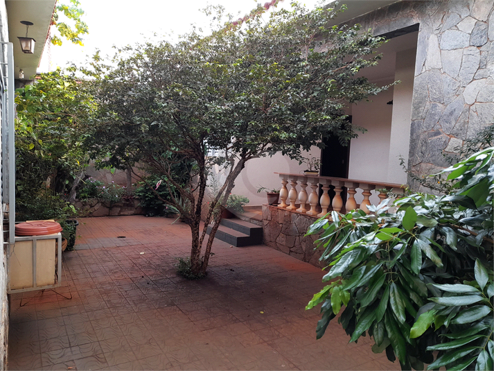 Foto REO1097519