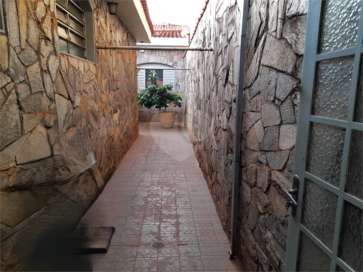 Foto REO1097519