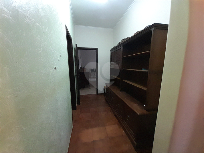 Foto REO1097519