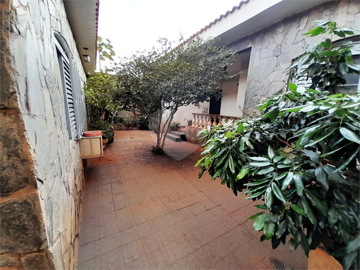 Foto REO1097519