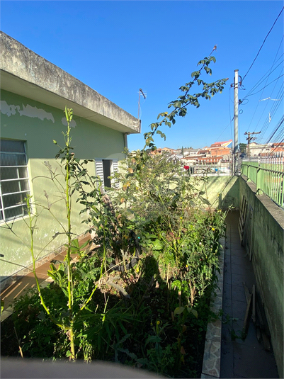 Foto REO1097533