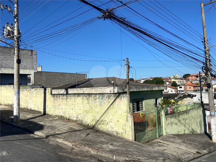 Foto REO1097533
