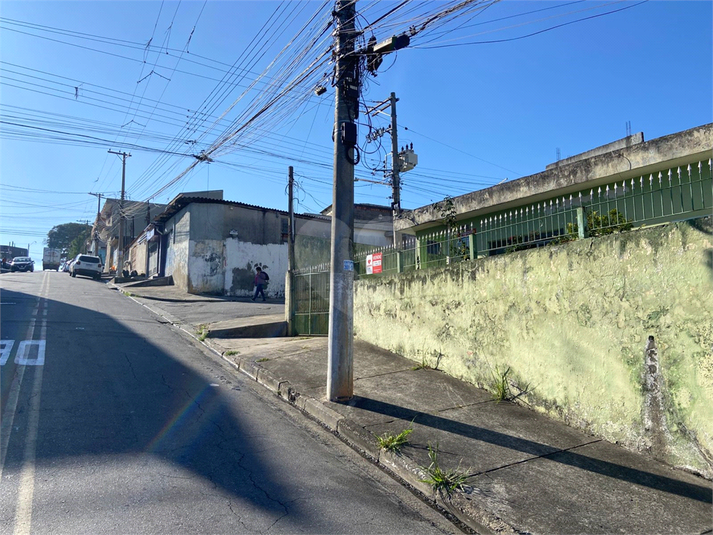Foto REO1097533