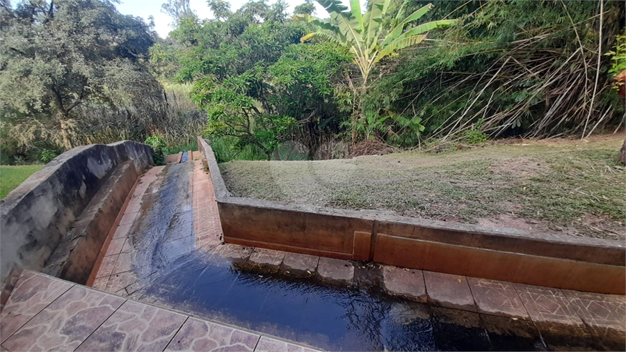 Foto REO1097538