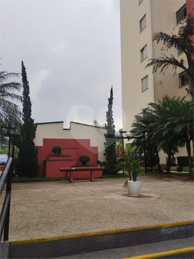 Foto REO1097539